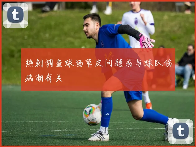 热刺调查球场草皮问题或与球队伤病潮有关