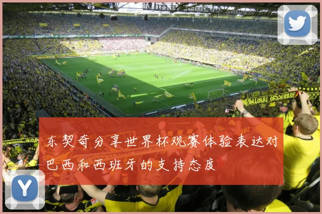 东契奇分享世界杯观赛体验表达对巴西和西班牙的支持态度